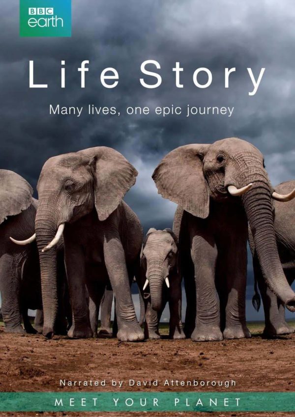 Life Story - BBC Earth